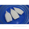 Wholesale Todarodes/illex Frozen Squid Tube